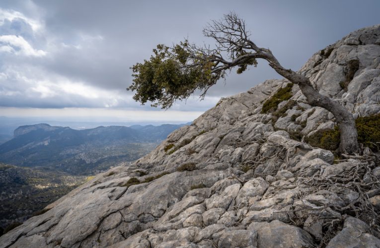 Denton: The Importance of Resilience in Overcoming Trauma